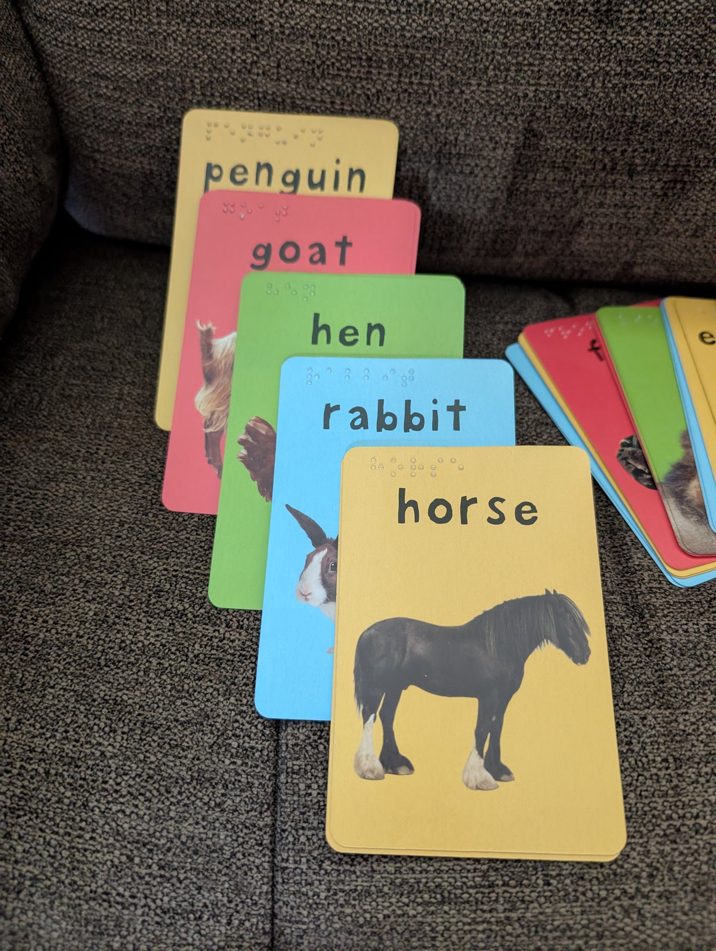 Braille 48 Card Animal Match Game