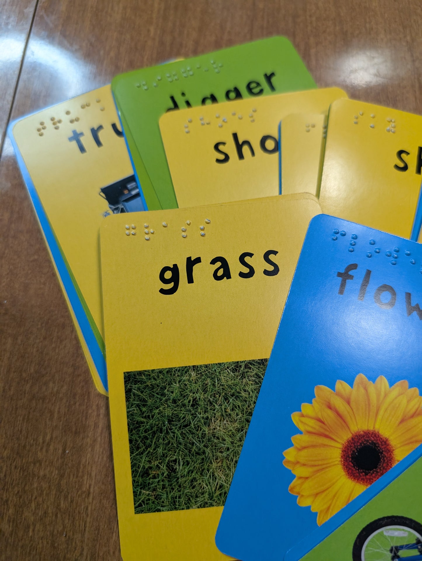 Braille 48 Card Word Match Game
