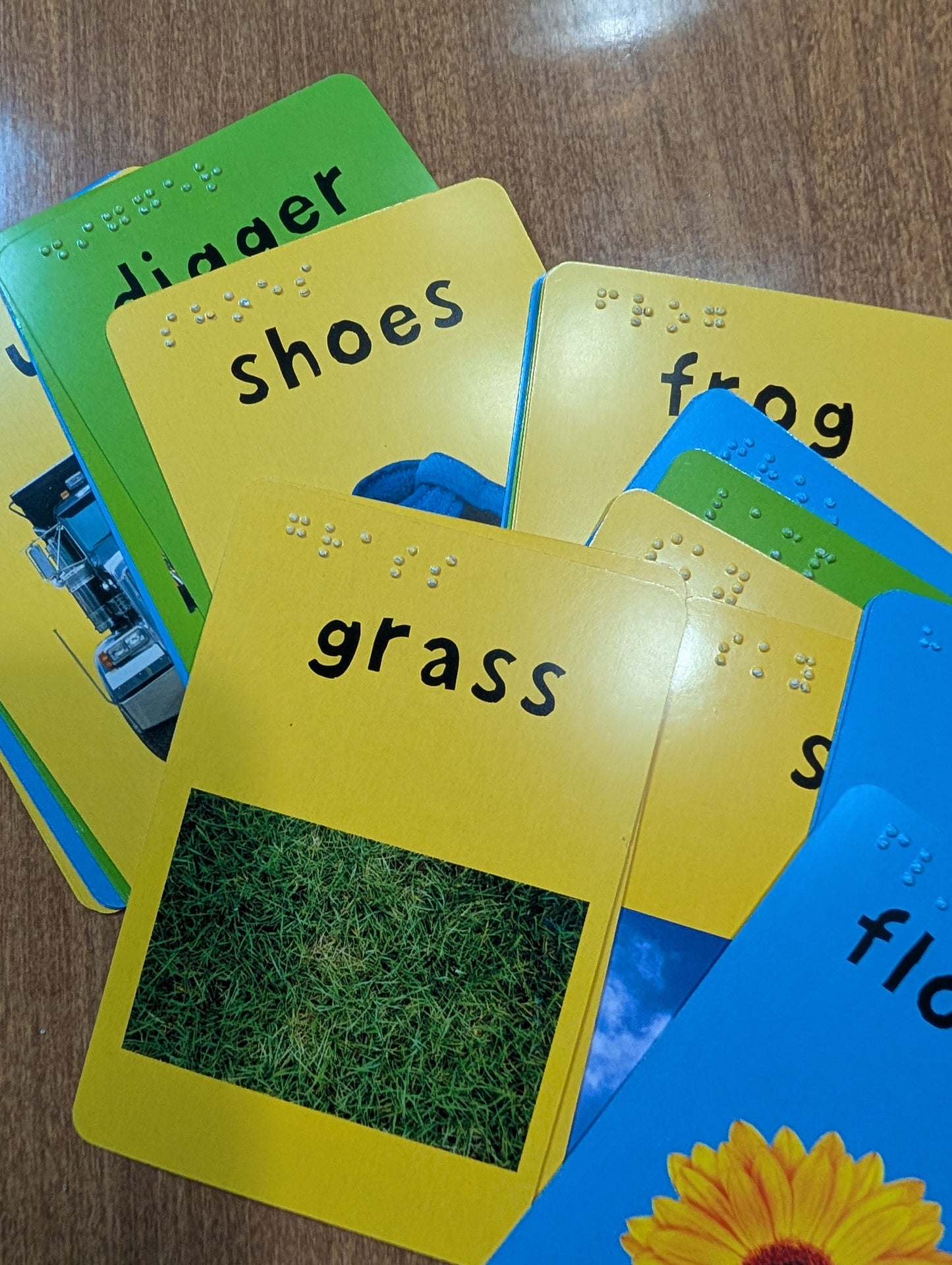 Braille 48 Card Word Match Game