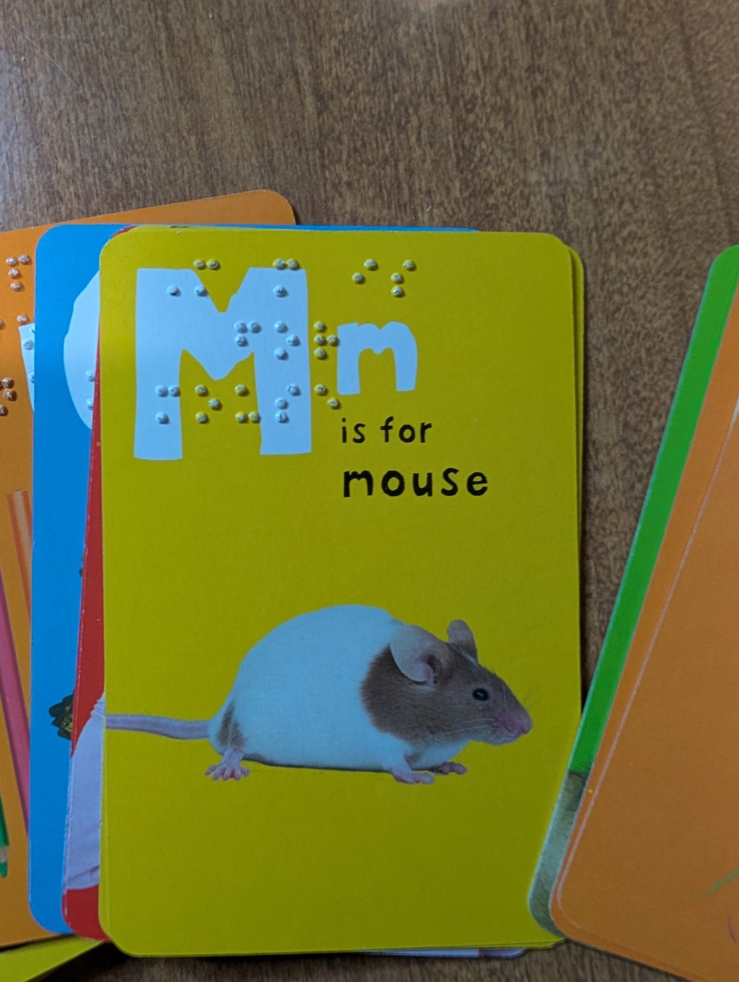 Braille 52 Card Alphabet Match Game