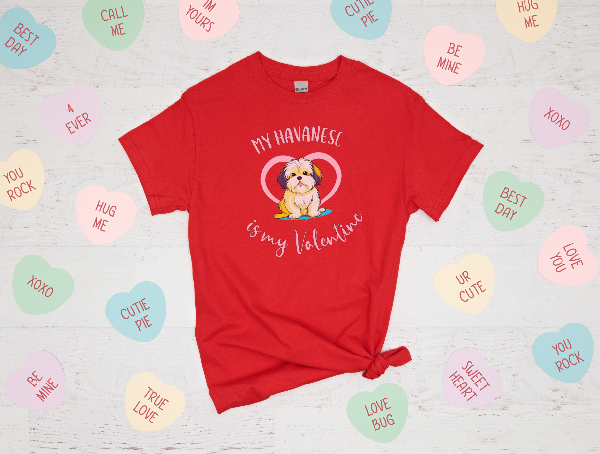 My Havanese is My Valentine Shirt