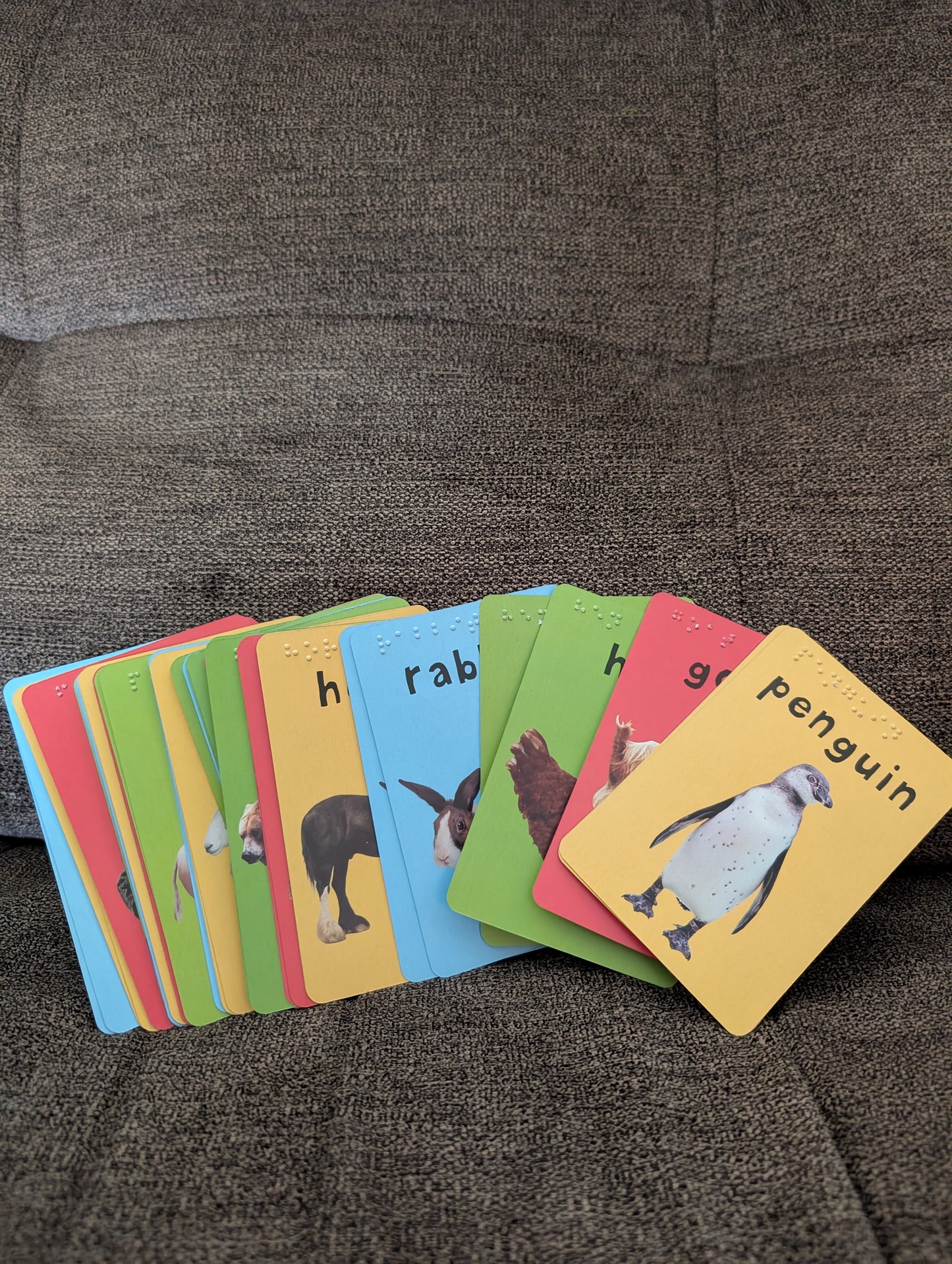 Braille 48 Card Animal Match Game