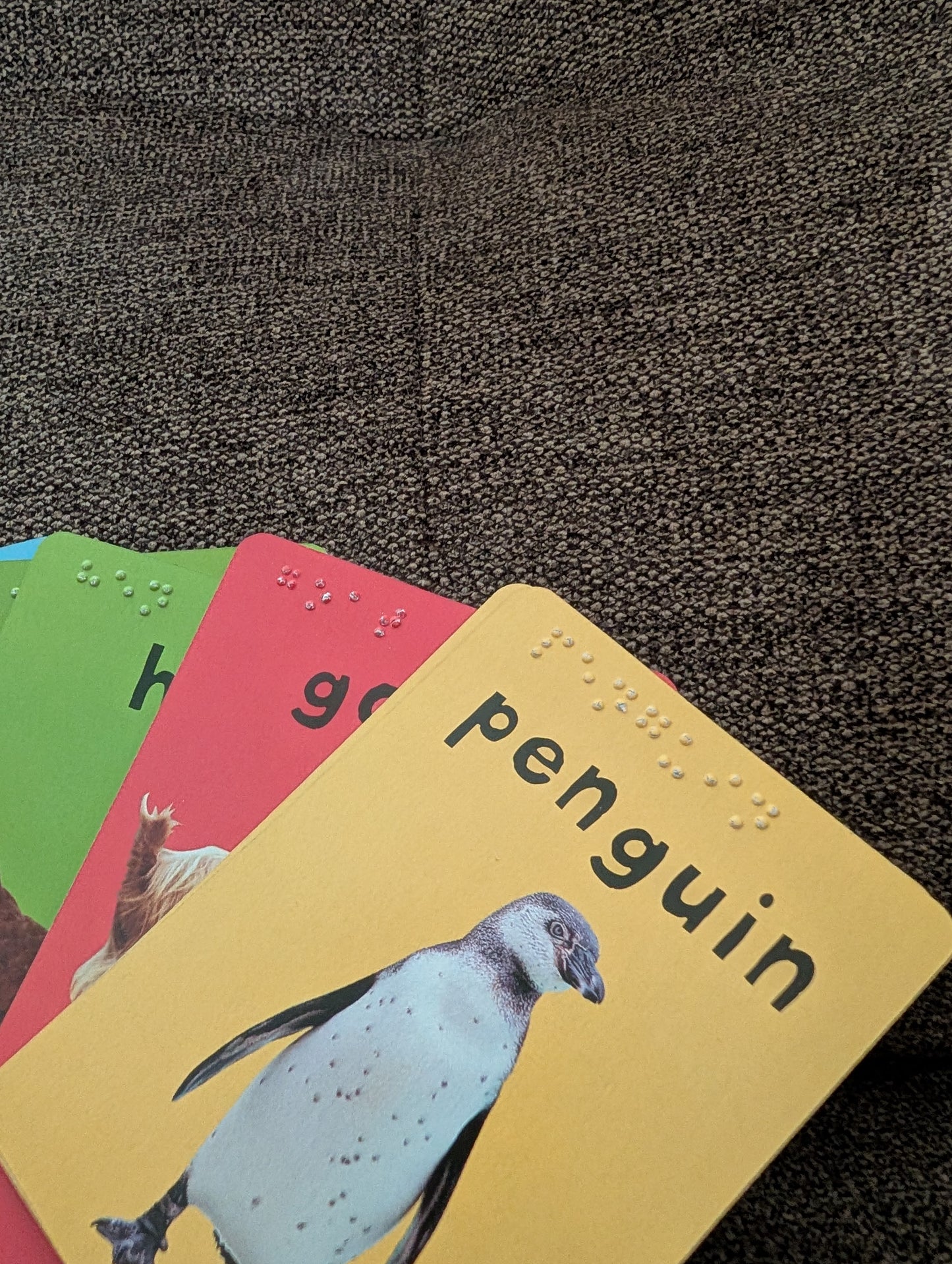 Braille 48 Card Animal Match Game