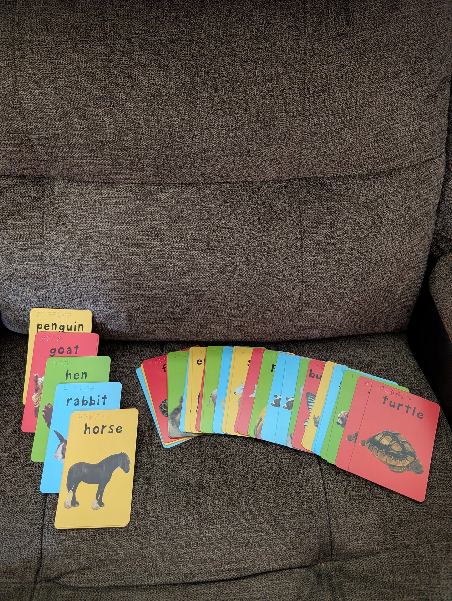 Braille 48 Card Animal Match Game