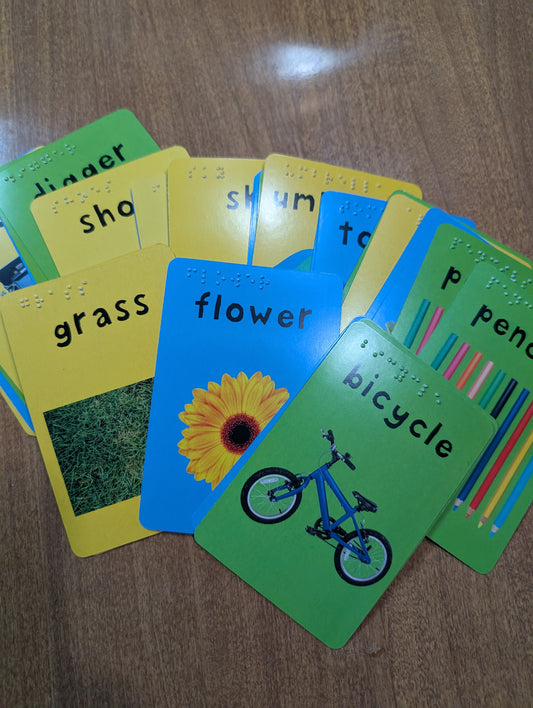 Braille 48 Card Word Match Game