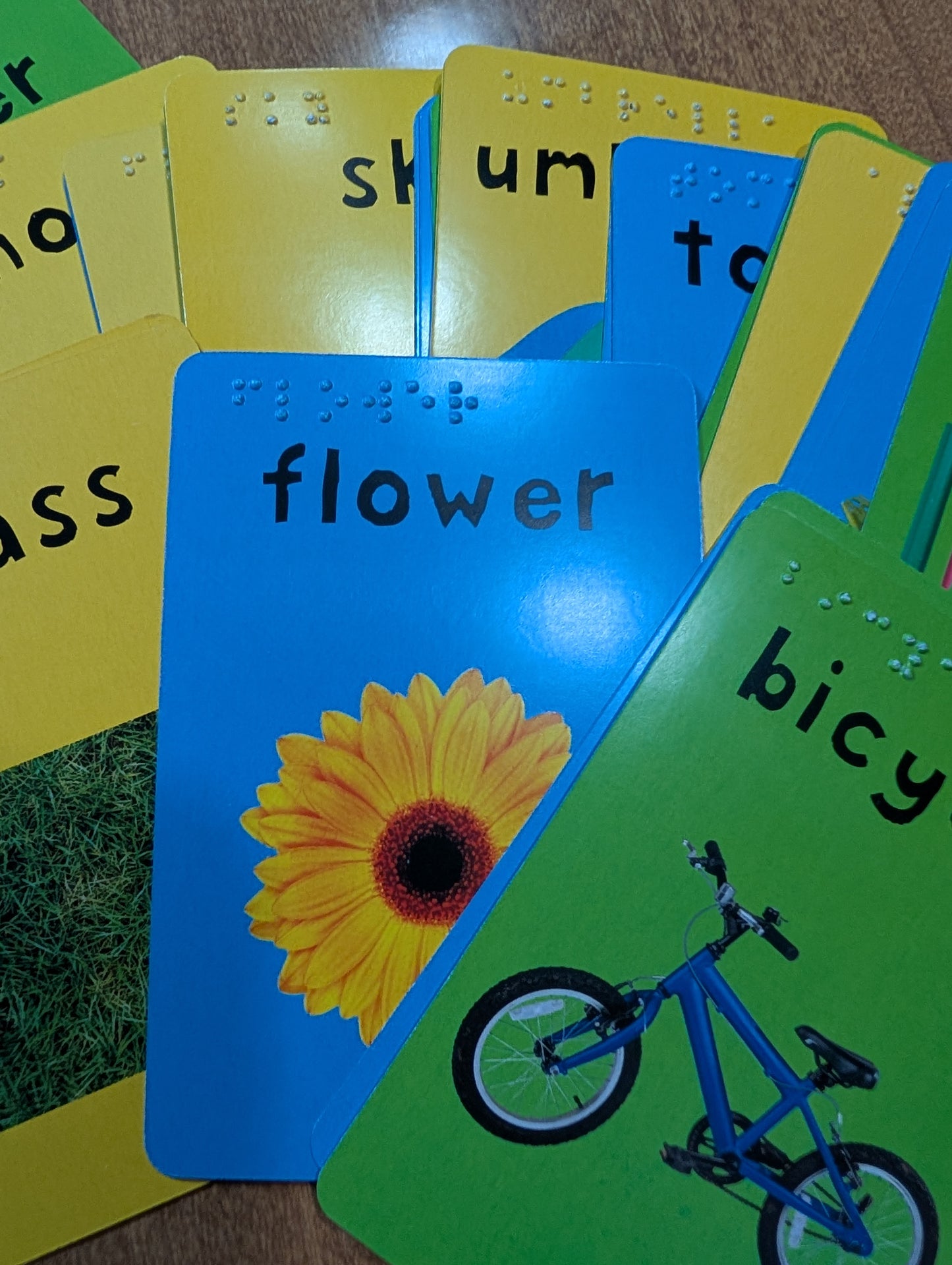 Braille 48 Card Word Match Game